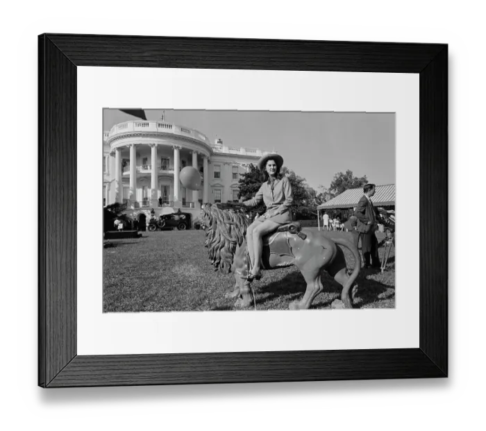 Framed Print : Johnson's Country Fair Framed Print : Johnson's Country Fair