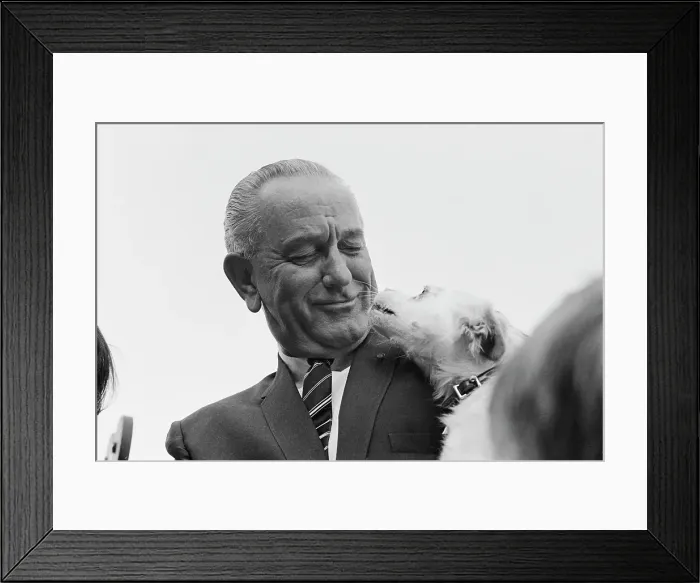 Framed Print : Johnson's Country Fair Framed Print : Johnson's Country Fair