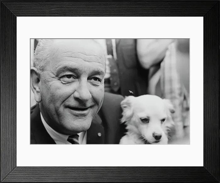 Framed Print : Johnson's Country Fair Framed Print : Johnson's Country Fair