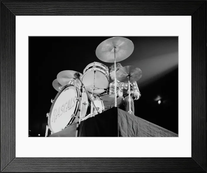 Framed Print : The Rascals Framed Print : The Rascals