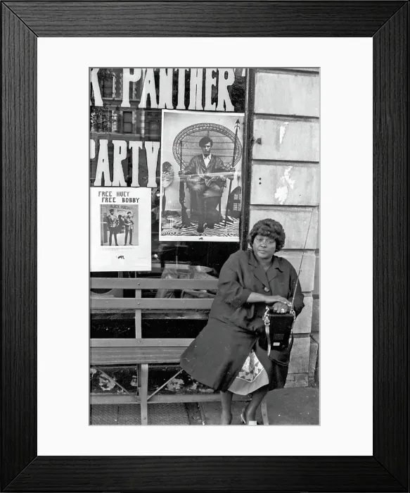 Framed Print : Black Panther HQ Framed Print : Black Panther HQ