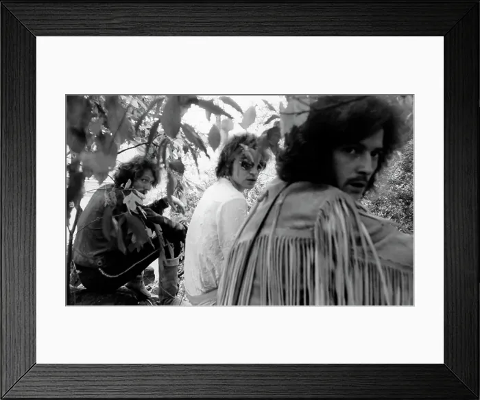 Framed Print : Cream In Central Park Framed Print : Cream In Central Park