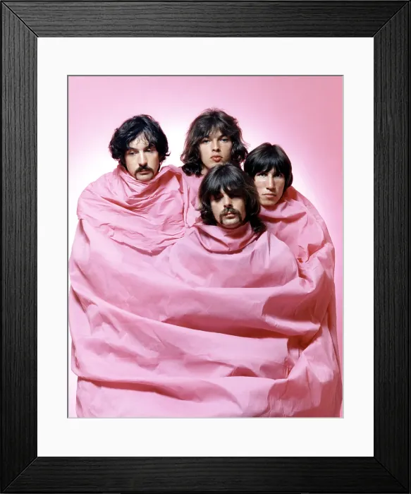 Framed Print : Pink Floyd In Pink Framed Print : Pink Floyd In Pink