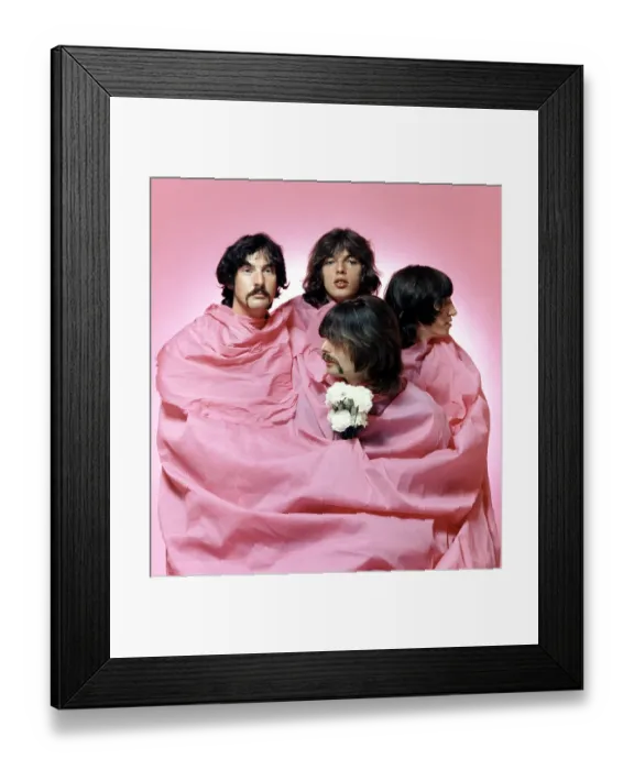 Framed Print : Pink Floyd In Pink Framed Print : Pink Floyd In Pink