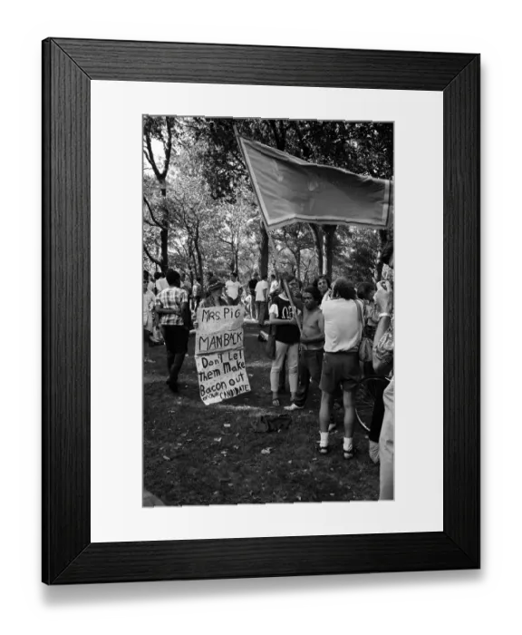 Framed Print : Protestors At The DNC In 68 Framed Print : Protestors At The DNC In 68