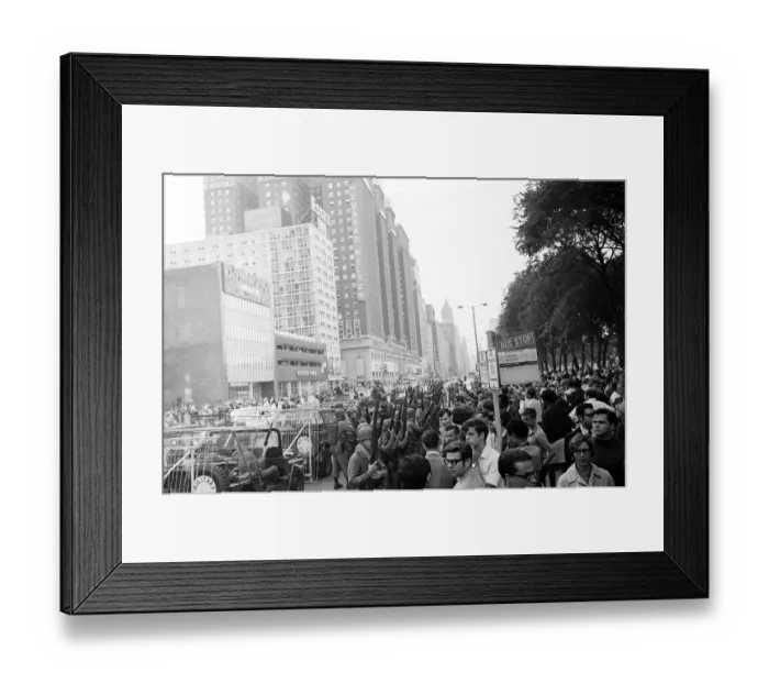 Framed Print : Protestors Congregate During The 68 DNC Framed Print : Protestors Congregate During The 68 DNC
