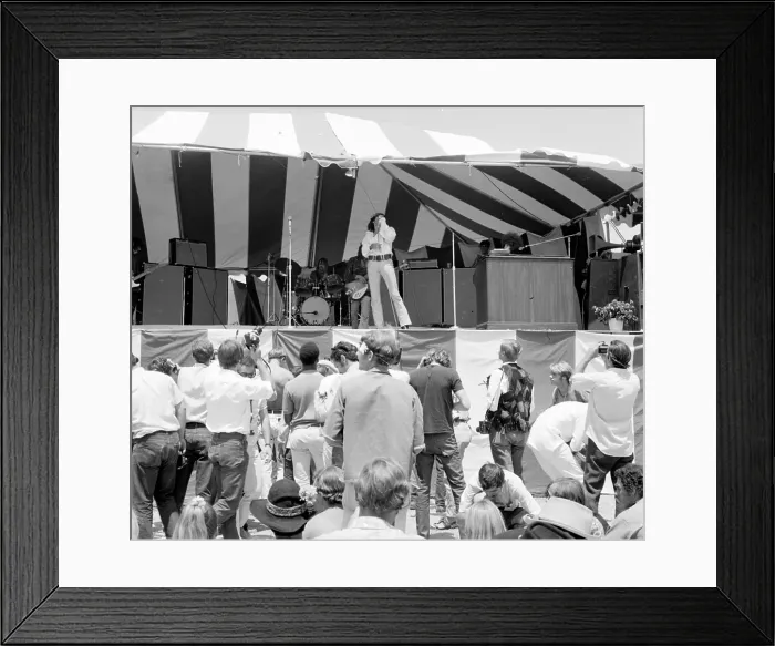 Framed Print : Steppenwolf At Newport Pop Framed Print : Steppenwolf At Newport Pop