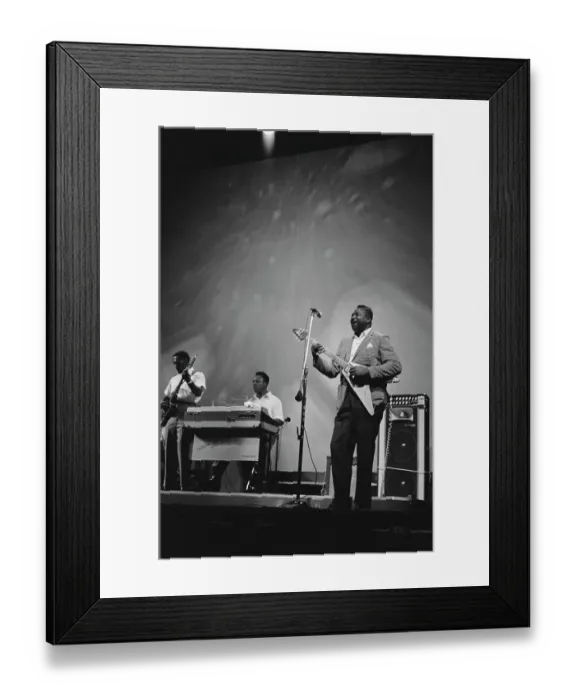 Framed Print : Albert King Framed Print : Albert King