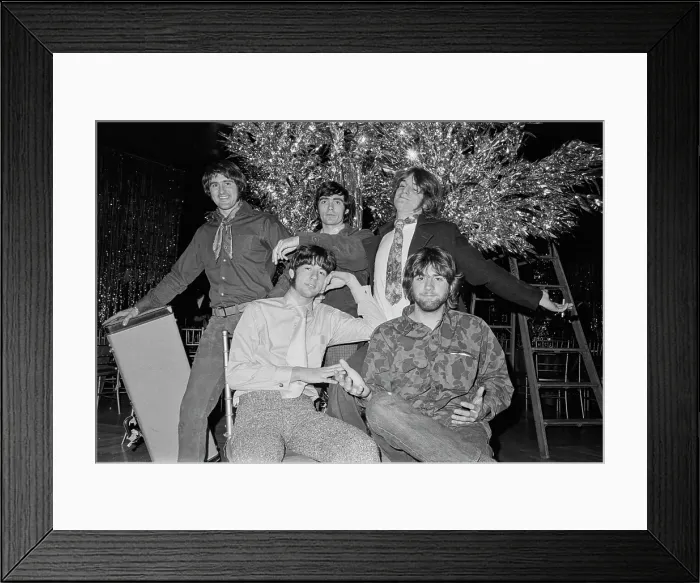 Framed Print : The Box Tops Framed Print : The Box Tops