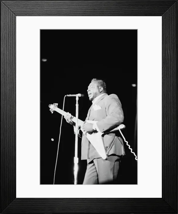Framed Print : Yuletide Thing