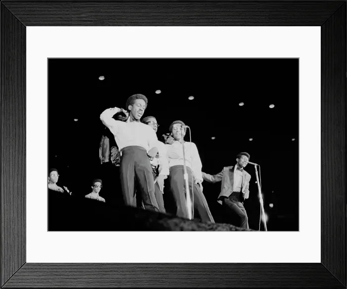 Framed Print : Yuletide Thing Framed Print : Yuletide Thing