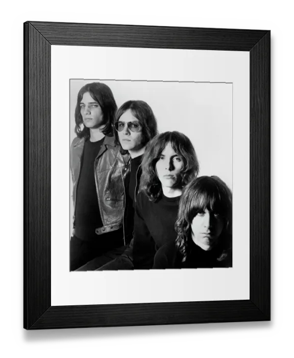 Framed Print : The Stooges Framed Print : The Stooges