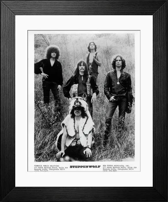 Framed Print : Steppenwolf Portrait Session Framed Print : Steppenwolf Portrait Session