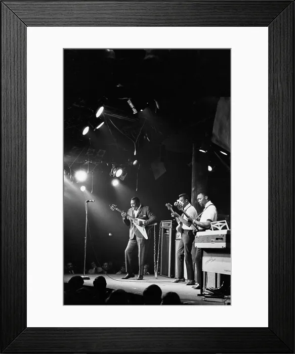 Framed Print : Albert King Framed Print : Albert King