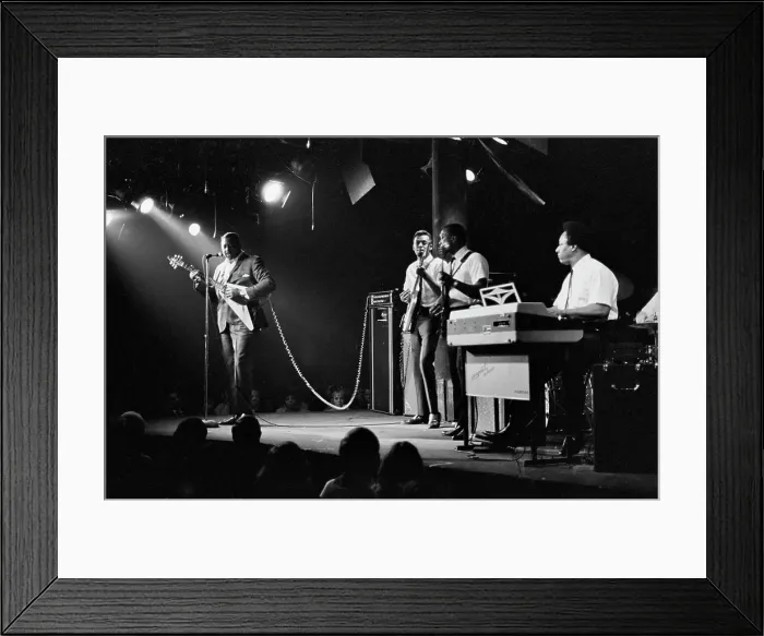 Framed Print : Albert King Framed Print : Albert King