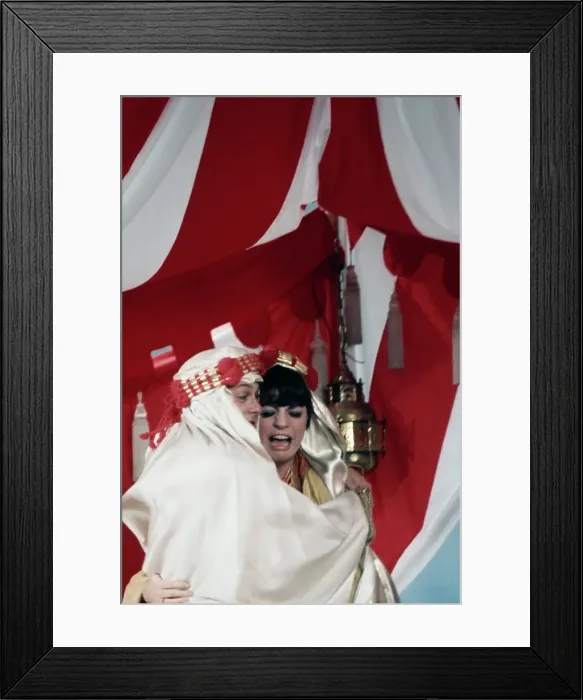 Framed Print : Rowan & Martin's Laugh-In Publicity Still Framed Print : Rowan & Martin's Laugh-In Publicity Still