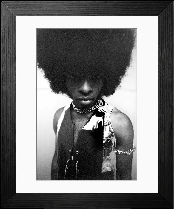Framed Print : Sly Stone Portrait
