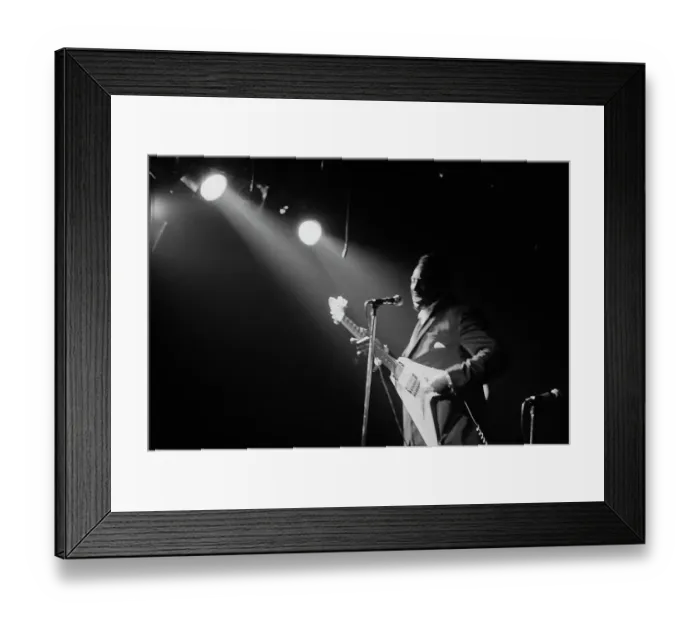 Framed Print : Albert King Framed Print : Albert King