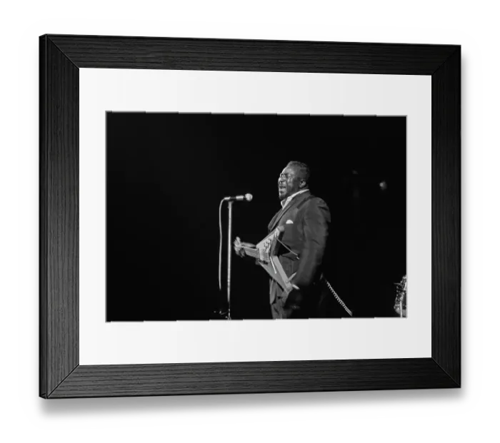 Framed Print : Albert King