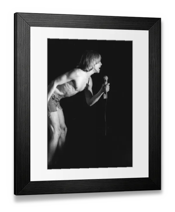 Framed Print : Iggy Pop Performing Framed Print : Iggy Pop Performing