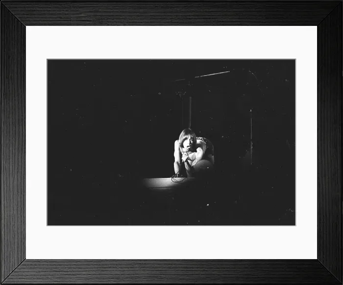 Framed Print : Iggy Pop Performing Framed Print : Iggy Pop Performing