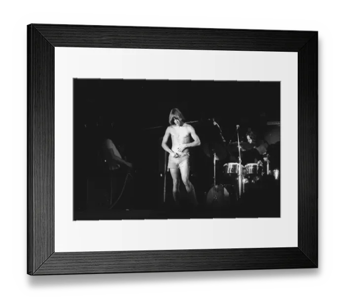 Framed Print : Iggy Pop Performing Framed Print : Iggy Pop Performing