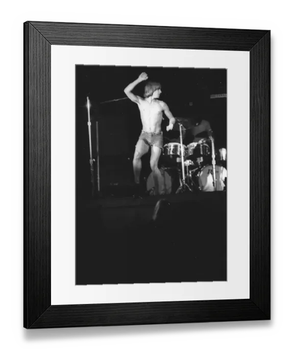 Framed Print : Iggy Pop Performing Framed Print : Iggy Pop Performing