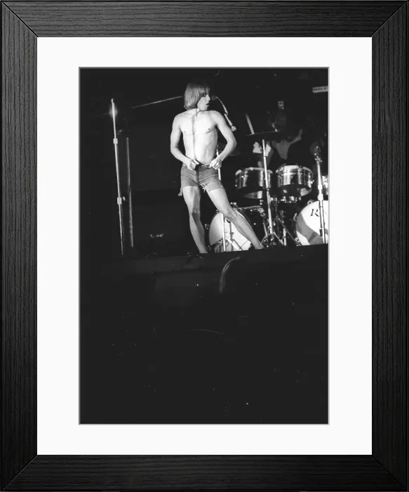 Framed Print : Iggy Pop Performing Framed Print : Iggy Pop Performing