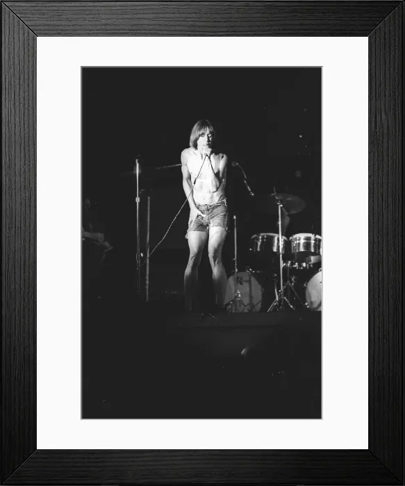 Framed Print : Iggy Pop Performing Framed Print : Iggy Pop Performing