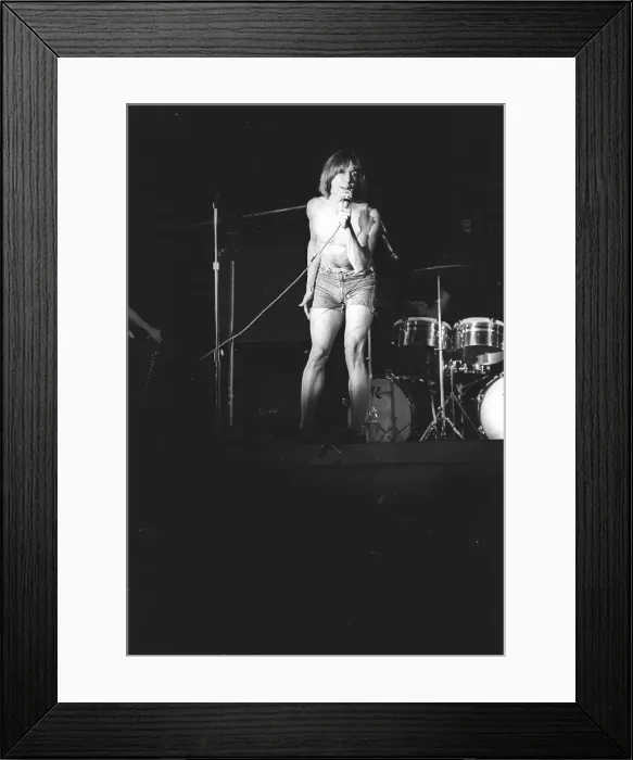 Framed Print : Iggy Pop Performing Framed Print : Iggy Pop Performing