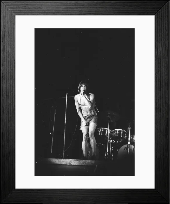 Framed Print : Iggy Pop Performing Framed Print : Iggy Pop Performing