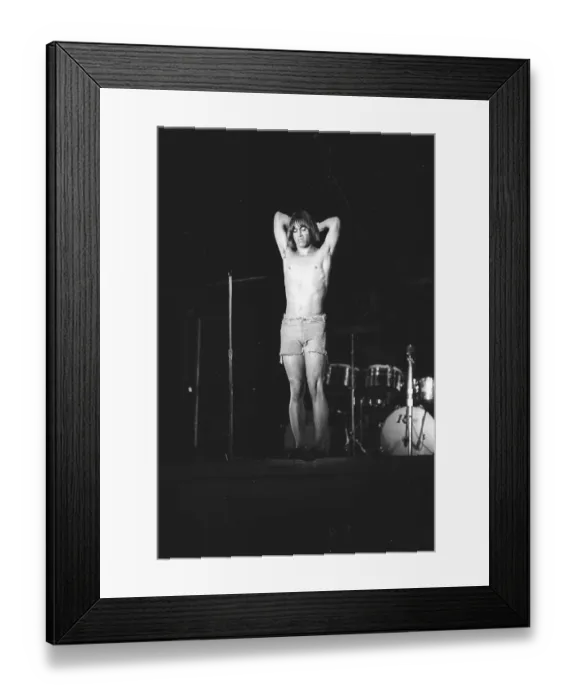 Framed Print : Iggy Pop Performing Framed Print : Iggy Pop Performing
