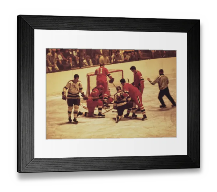 Framed Print : Hershey Bears Framed Print : Hershey Bears