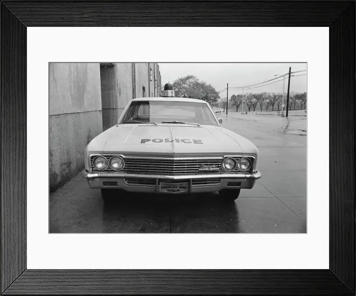 Framed Print : Chocolate Police Framed Print : Chocolate Police