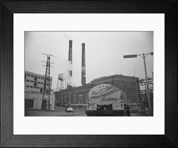 Framed Print : For Smart Cookies Framed Print : For Smart Cookies