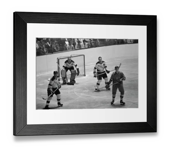 Framed Print : Hershey Bears Framed Print : Hershey Bears
