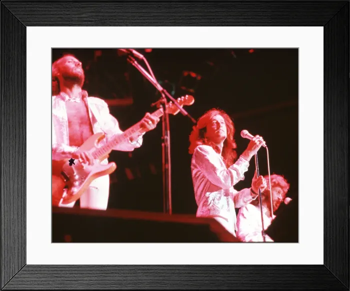 Framed Print : The Bee Gees Framed Print : The Bee Gees