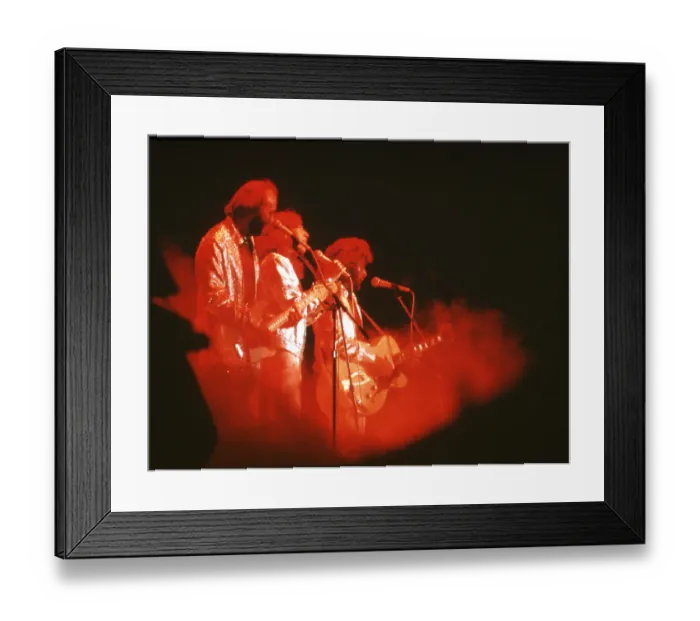 Framed Print : The Bee Gees Framed Print : The Bee Gees