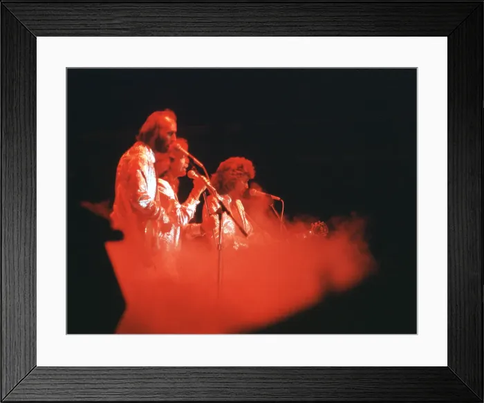 Framed Print : The Bee Gees Framed Print : The Bee Gees