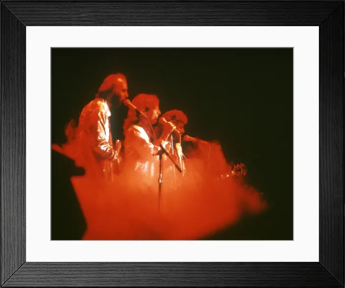 Framed Print : The Bee Gees Framed Print : The Bee Gees