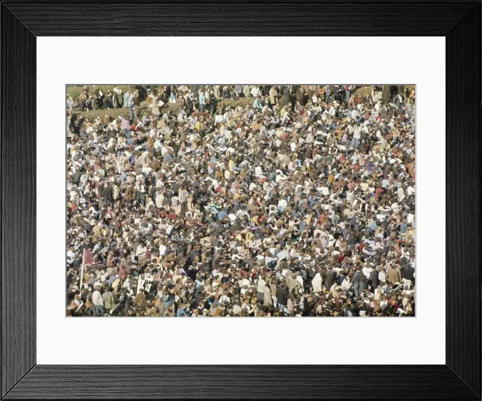Framed Print : Bryant Park Demo Framed Print : Bryant Park Demo