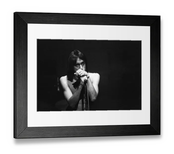 Framed Print : Iggy Pop Performing Framed Print : Iggy Pop Performing