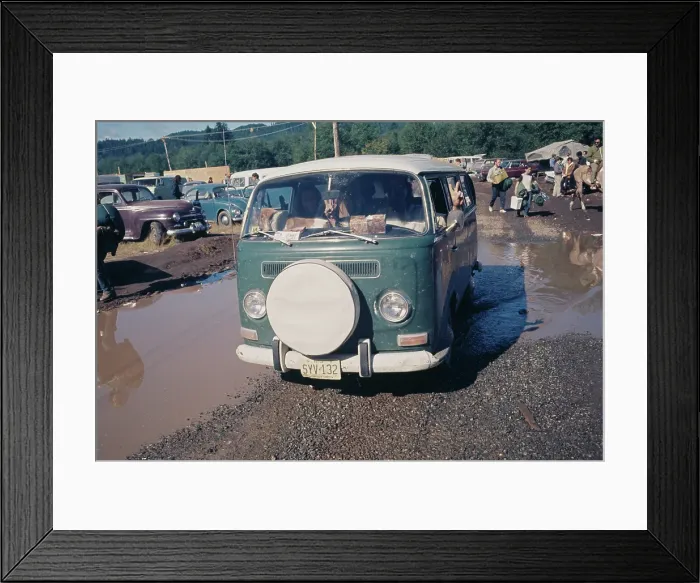 Framed Print : Vortex I: A Biodegradable Festival Of Life Framed Print : Vortex I: A Biodegradable Festival Of Life