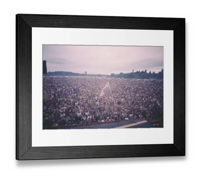 Framed Print : Vortex I: A Biodegradable Festival Of Life Framed Print : Vortex I: A Biodegradable Festival Of Life