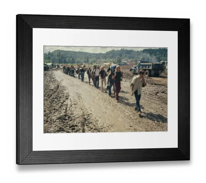 Framed Print : Vortex I: A Biodegradable Festival Of Life Framed Print : Vortex I: A Biodegradable Festival Of Life