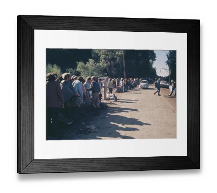 Framed Print : Vortex I: A Biodegradable Festival Of Life Framed Print : Vortex I: A Biodegradable Festival Of Life