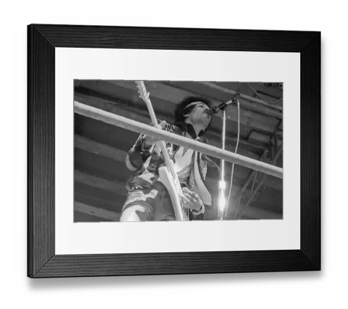 Framed Print : Jimi Plays His Last Concert Framed Print : Jimi Plays His Last Concert