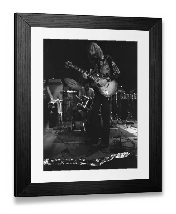 Framed Print : The Allman Brothers In South Carolina Framed Print : The Allman Brothers In South Carolina