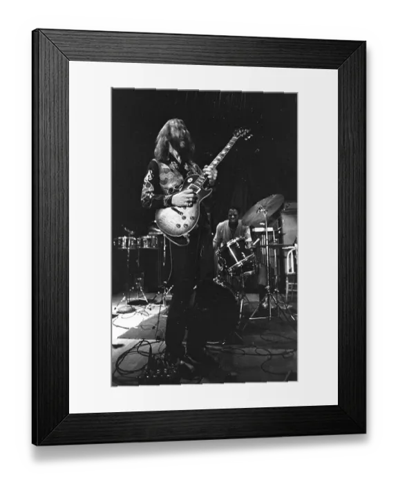 Framed Print : The Allman Brothers In South Carolina Framed Print : The Allman Brothers In South Carolina