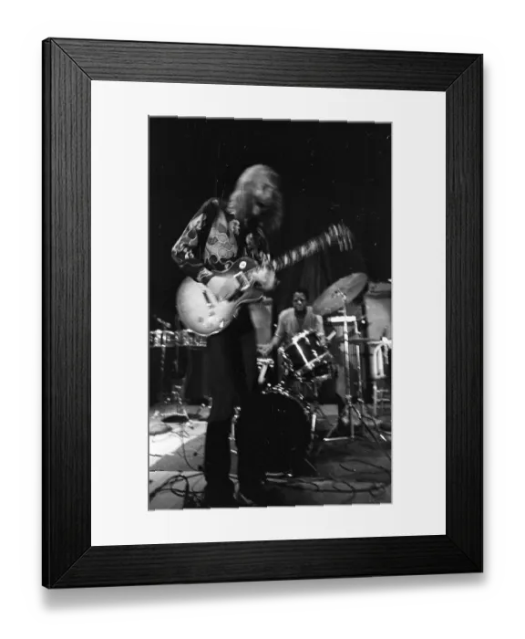 Framed Print : The Allman Brothers In South Carolina Framed Print : The Allman Brothers In South Carolina